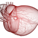 Illustration for article titled Your Heartbeat Could Be Your Password